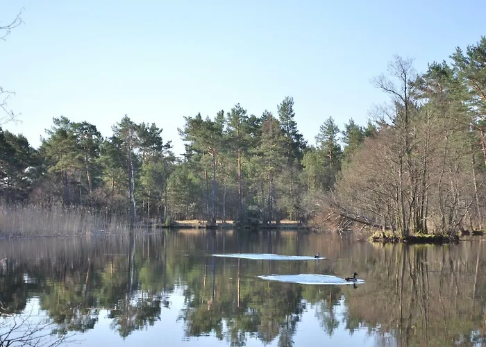 Zurawie Letniskowe Сasa de vacaciones Kopalino